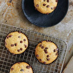 Banana Chocolate Chip Muffins