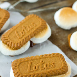 Quick and Easy Biscoff S'mores