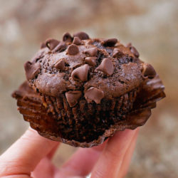 Double Chocolate Muffins | lifemadesimplebakes.com
