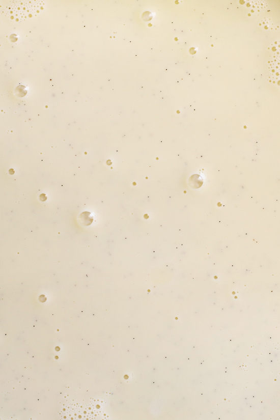 Liquid mixture for vanilla bean ice cream recipe