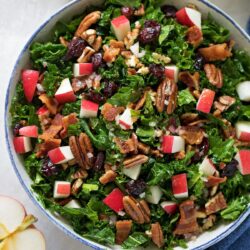 A bowl of Cranberry Apple Pecan Kale Salad.