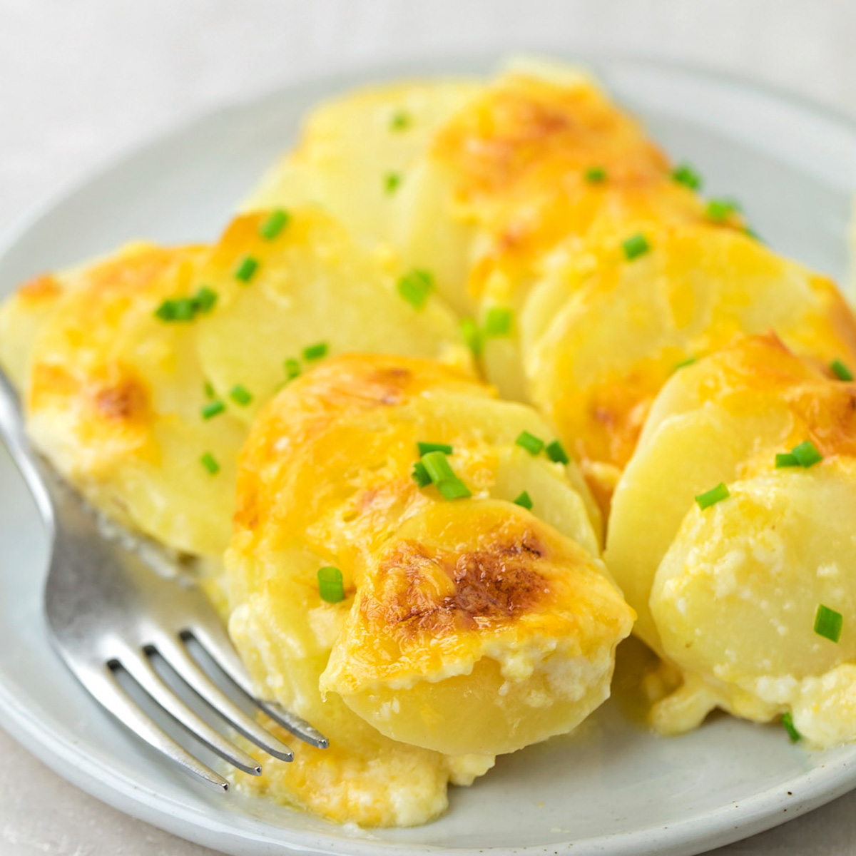 Plate of potatoes au gratin.