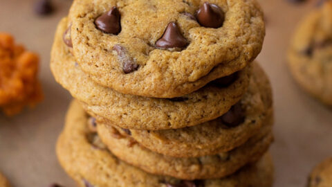 Stack of chewy chocolate chip pumpkin cookies surrounded by chocolate chips and pumpkins in the background.