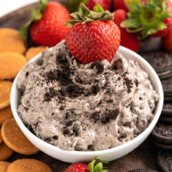 This Oreo Dip recipe is smooth, creamy, and packed with Oreo cookies. All you need is 10 minutes and 5 ingredients and you will have delicious Oreo dip at your fingertips!