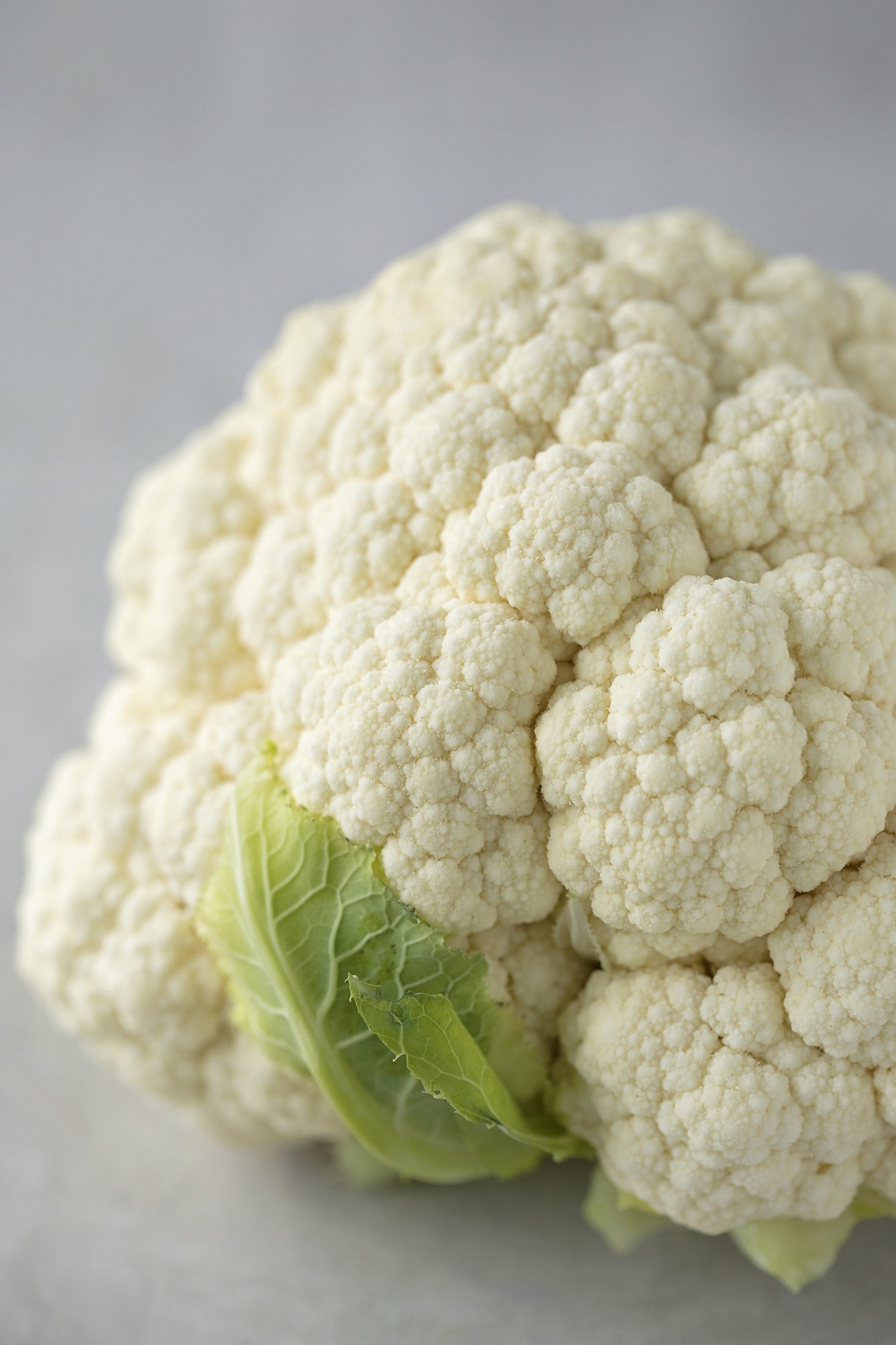 A fresh head of cauliflower with a tight cluster of white florets.