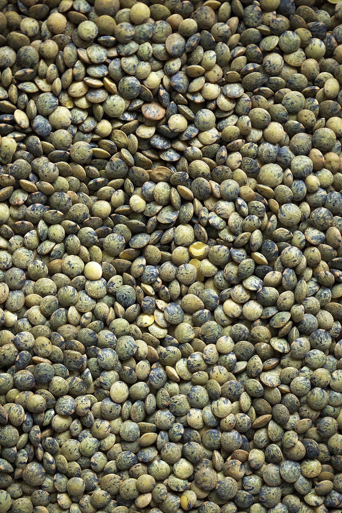 Close-up view of a pile of green lentils.