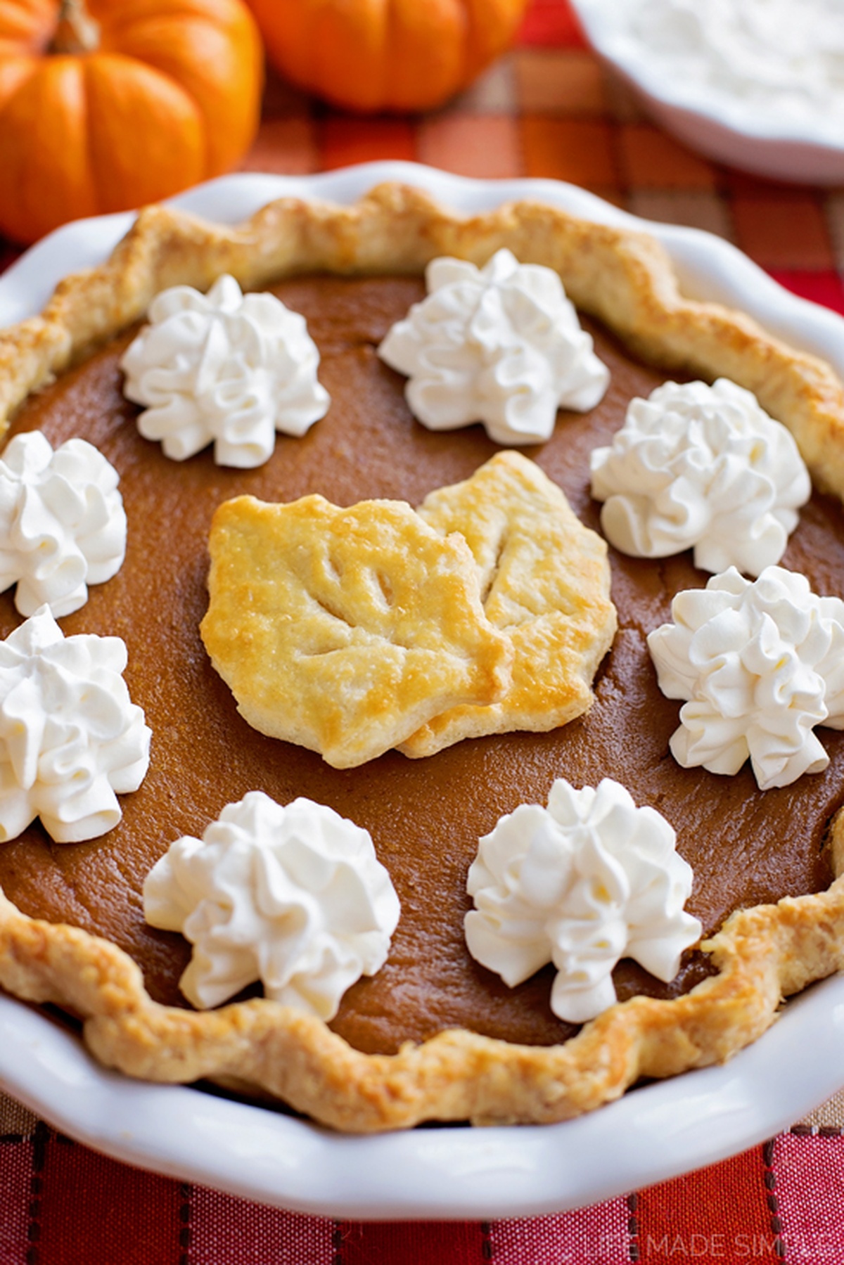 Pumpkin pie decorated with whipped cream and pastry cutouts.