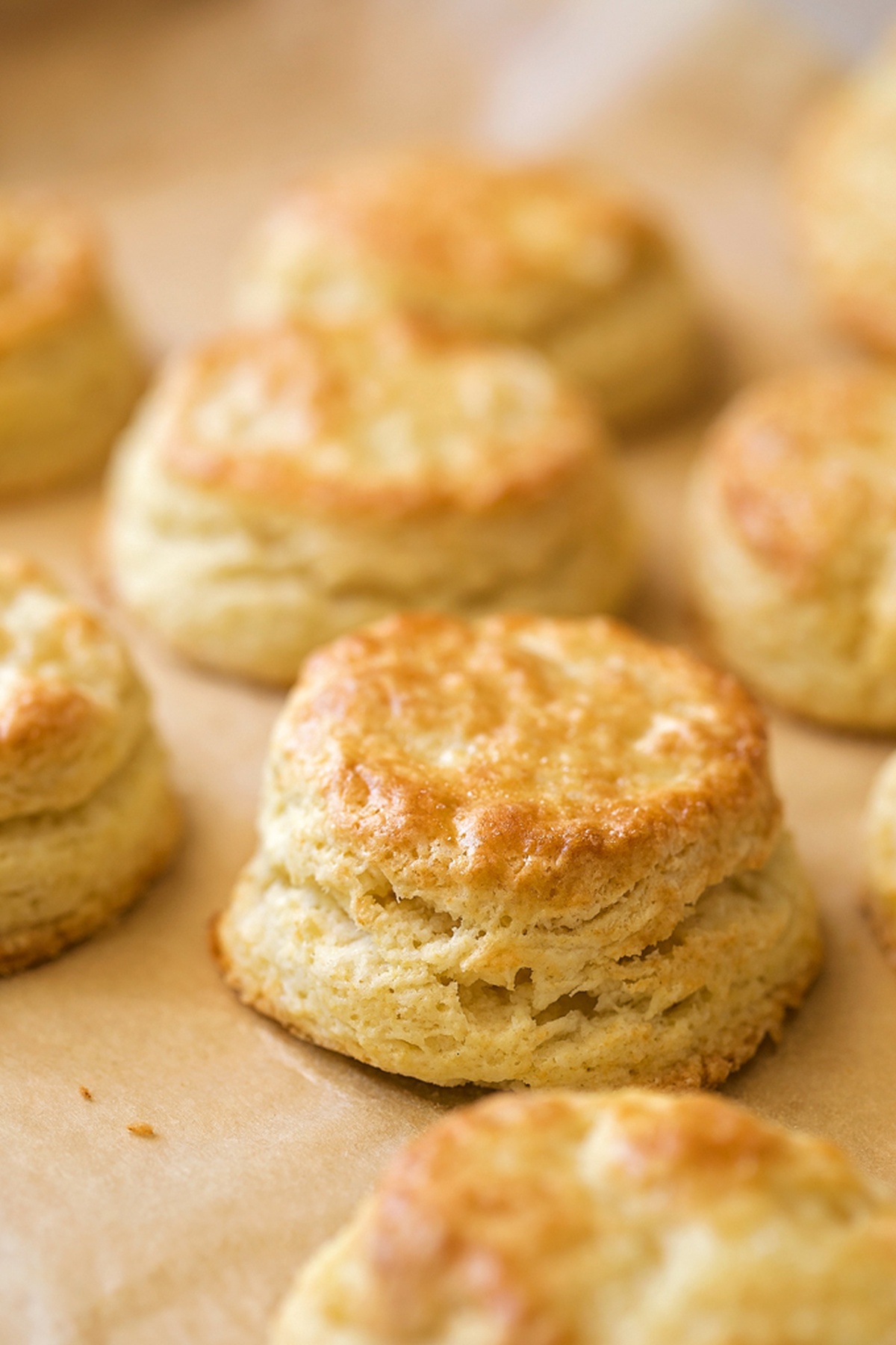 Freshly baked biscuits cooling on a baking sheet. 