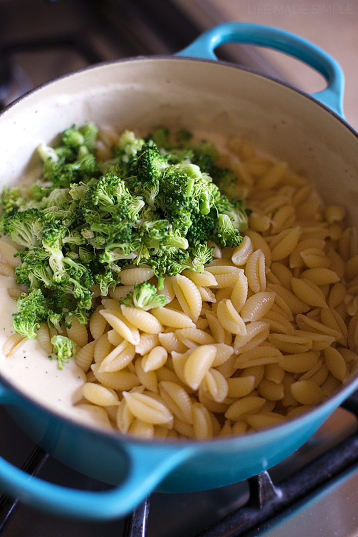 Cooked pasta shells and chopped broccoli in a pot.