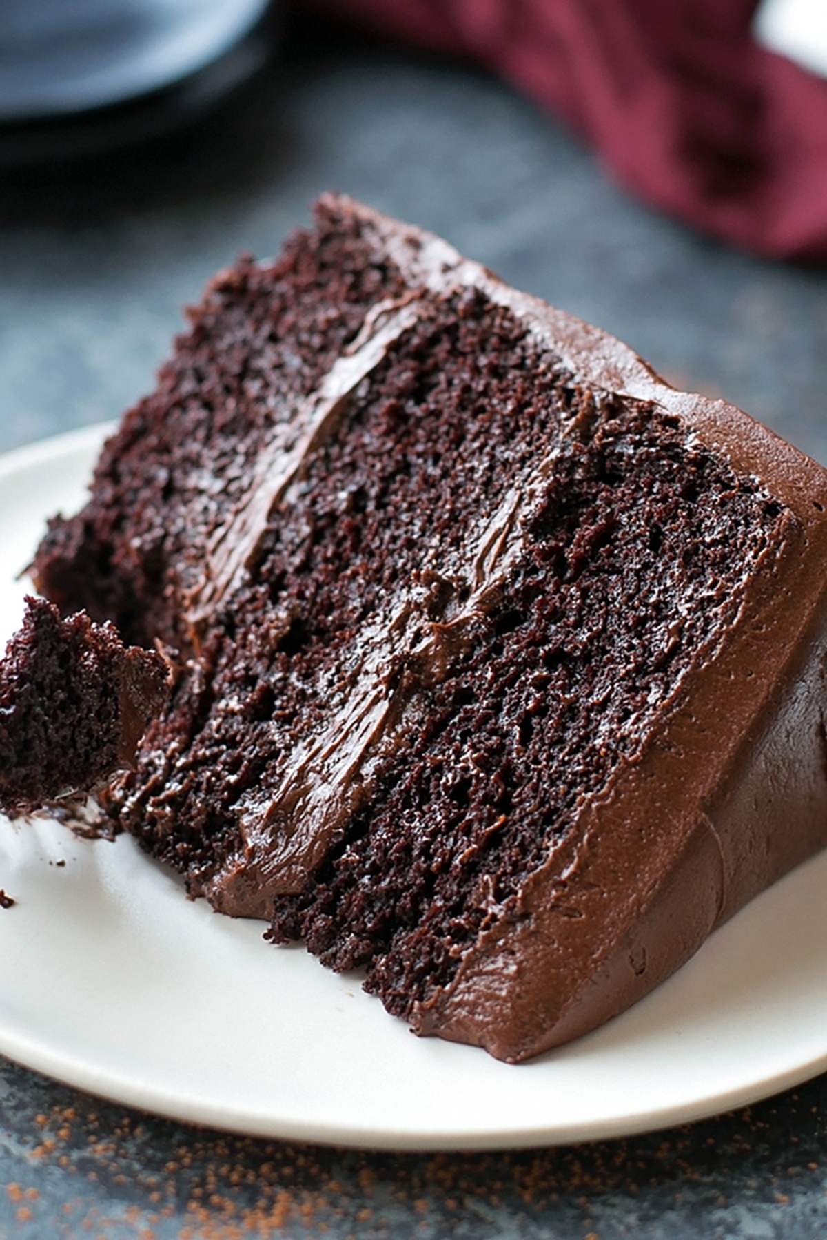 Side view of a tall, layered chocolate blackout cake slice.