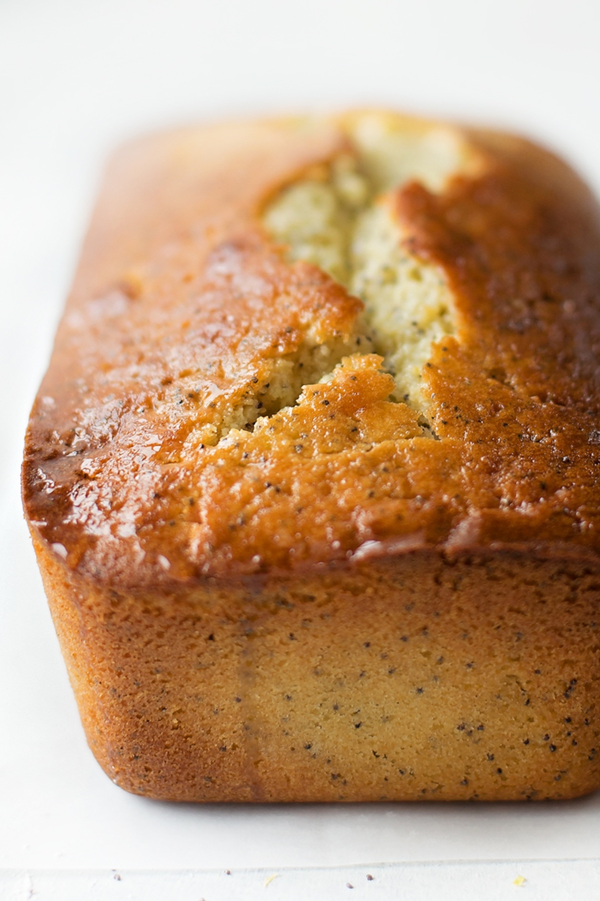 A close-up view of lemon poppy loaf surface.