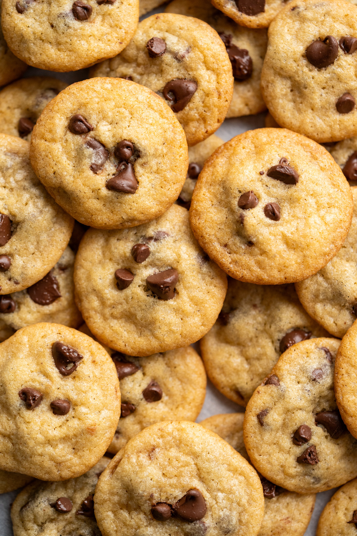 Mini chocolate chip cookies stacked all around on a piece of parchment paper.