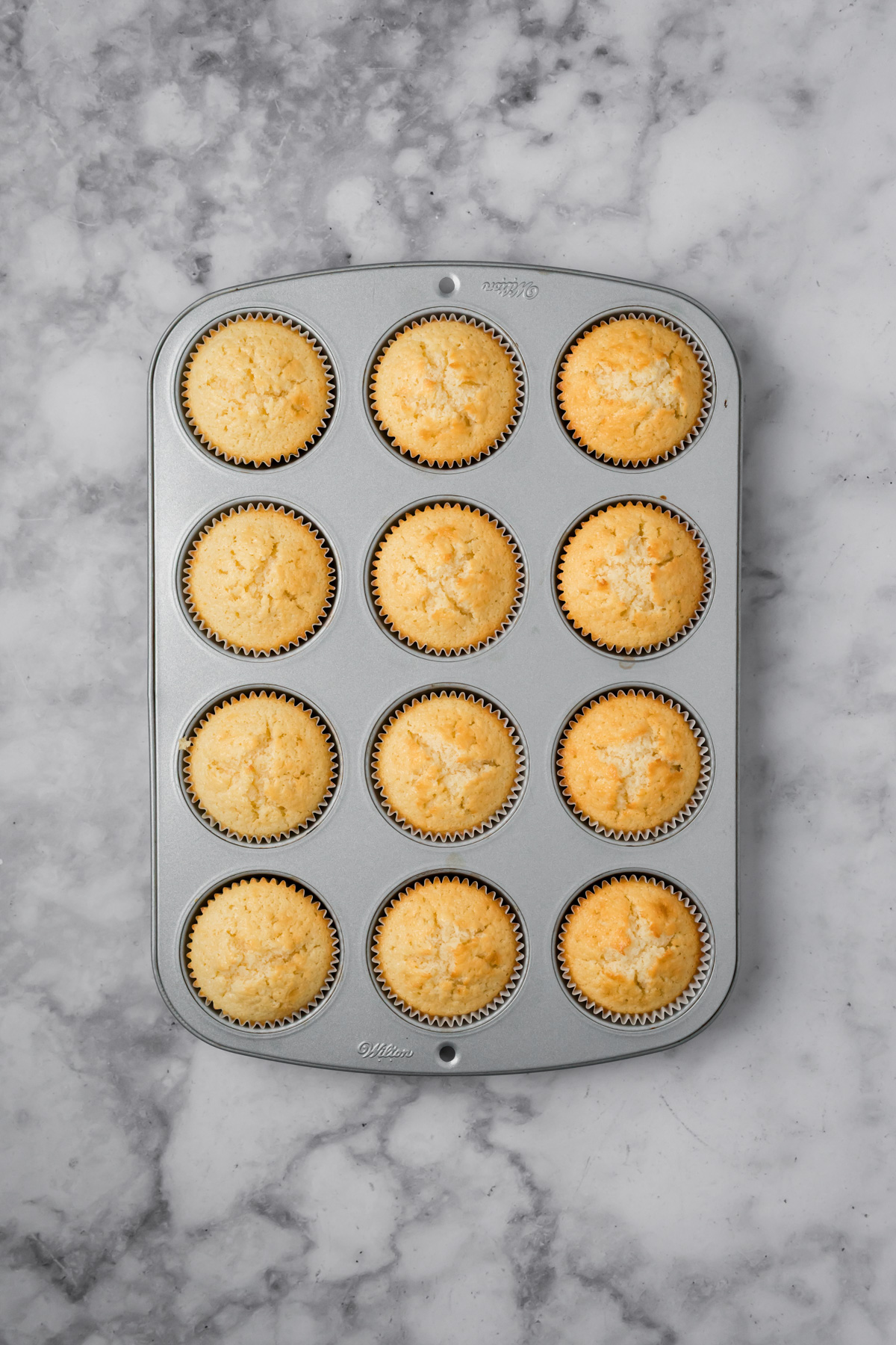 Vanilla muffins in a muffin pan after they have baked. 
